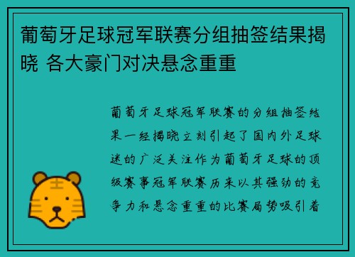 葡萄牙足球冠军联赛分组抽签结果揭晓 各大豪门对决悬念重重